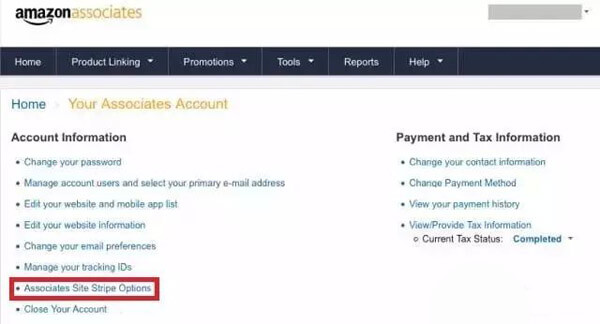 amazon affiliate