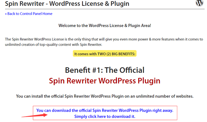 spin rewriter wordpress plugin
